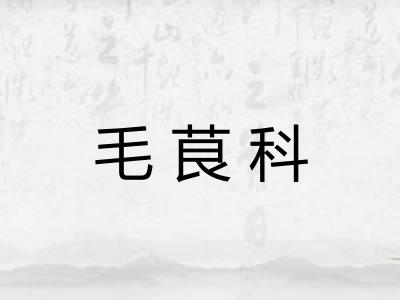 毛茛科 毛茛科