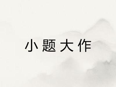 小题大作