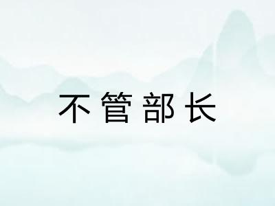 不管部长 不管部长