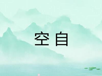 空自 空自