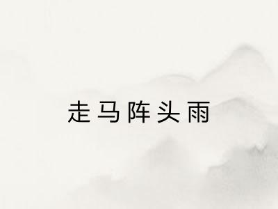 走马阵头雨