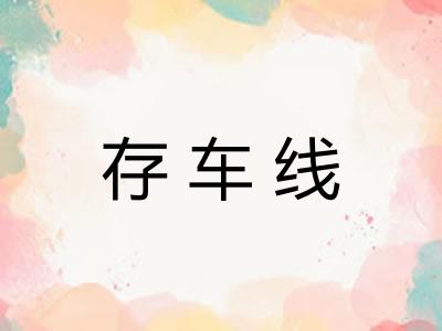 存车线 存车线