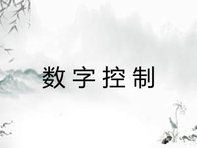 数字控制 数字控制