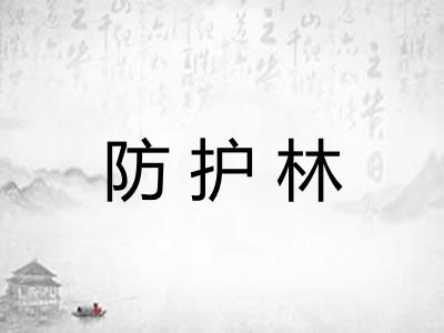 防护林 防护林