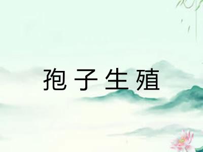 孢子生殖