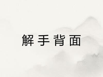 解手背面 解手背面