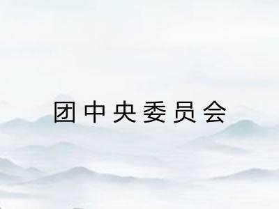 团中央委员会 团中央委员会