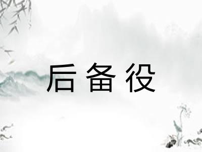 后备役 后备役