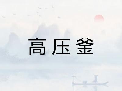高压釜