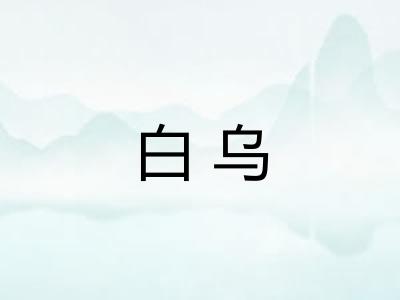 白乌