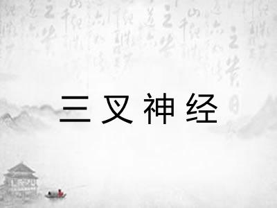 三叉神经 三叉神经