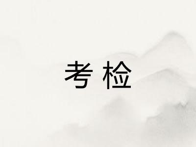 考检 考检