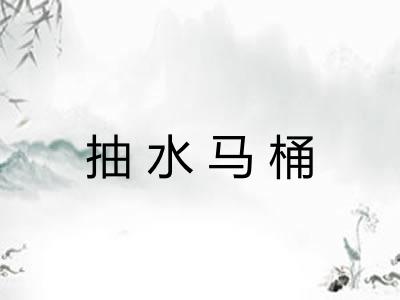 抽水马桶 抽水马桶