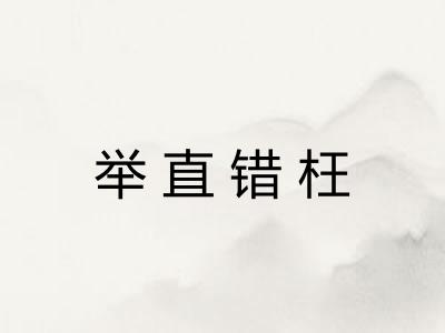 举直错枉 举直错枉