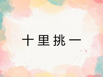 十里挑一