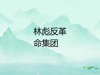 林彪反革命集团 林彪反革命集团