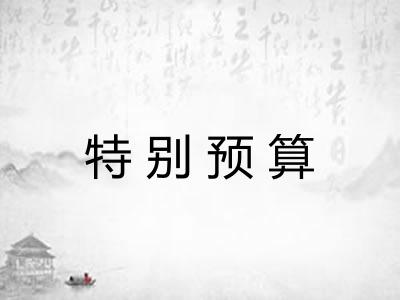 特别预算 特别预算