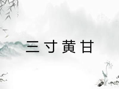 三寸黄甘 三寸黄甘