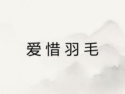 爱惜羽毛 爱惜羽毛