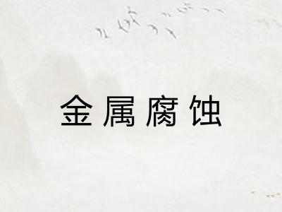 金属腐蚀 金属腐蚀