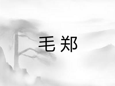 毛郑