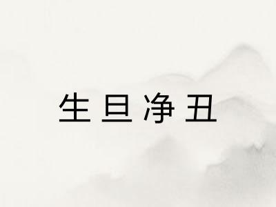 生旦净丑 生旦净丑