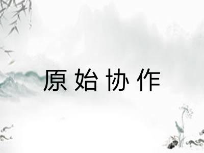 原始协作 原始协作