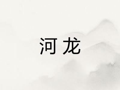 河龙 河龙