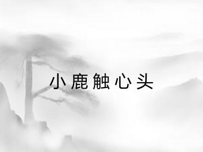 小鹿触心头 小鹿触心头