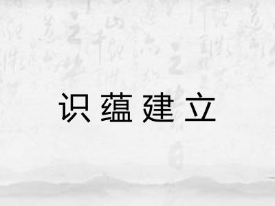 识蕴建立 识蕴建立