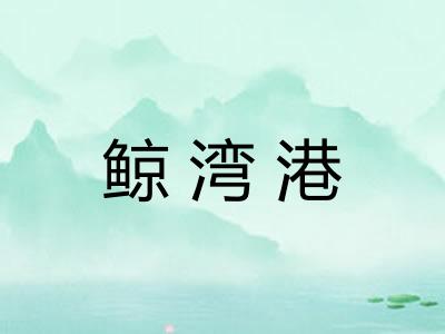 鲸湾港 鲸湾港