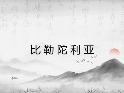 比勒陀利亚 比勒陀利亚