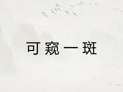 可窥一斑 可窥一斑