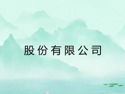 股份有限公司 股份有限公司