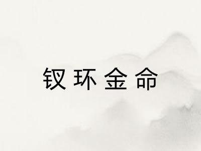 钗环金命 钗环金命