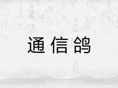 通信鸽 通信鸽