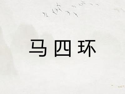 马四环 马四环