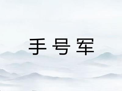 手号军
