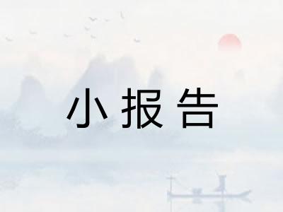 小报告 小报告
