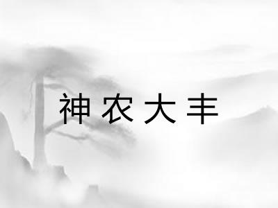 神农大丰