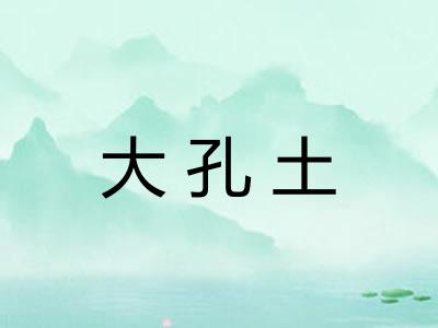 大孔土