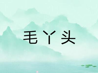 毛丫头