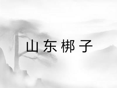 山东梆子 山东梆子