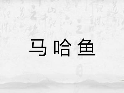 马哈鱼 马哈鱼