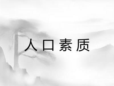 人口素质 人口素质