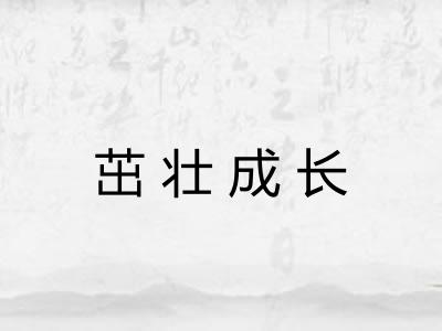 茁壮成长 茁壮成长