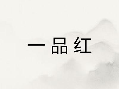 一品红