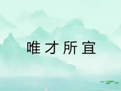 唯才所宜 唯才所宜