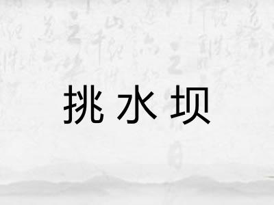 挑水坝
