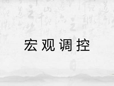 宏观调控 宏观调控